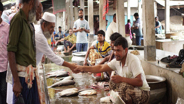 চাঁপাইনবাবগঞ্জ-১ আসনে নির্বাচনী প্রচারণায় ড. কেরামত আলী। ছবি: সংগ্রহীত